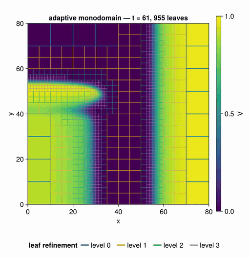 Animated cardiac electrophysiology simulation: a spiral wave rotating on an adaptively refined block mesh whose fine blocks track the wavefront.